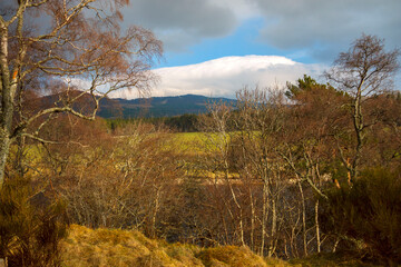 Scottish rural landscape. Royal Deeside between Ballater and Braemar. Cairngorms National Park, Aberdeenshire, Scotland, UK.