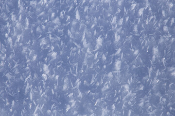Texture with snow flake crystals on the ground