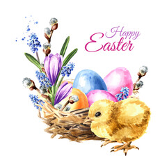 Happy Easter concept, nest with colored eggs,  spring flowers and small yellow chick . Hand drawn watercolor illustration isolated on white background