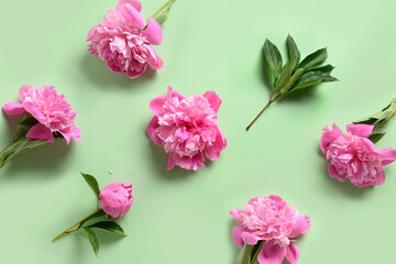 Floral pattern of pink peony flowers on green background. Greeting card for 8th March or Mother day.