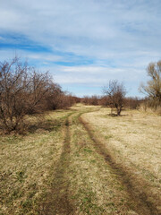 A picturesque country road in the village
