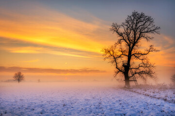Fototapeta na wymiar Beautiful winter sunset with colorful sky