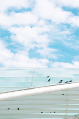 Birds on top of a glass roof agains blue sky with clouds