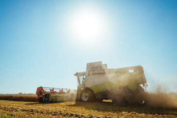 Fototapeta premium Combine harvester harvests ripe wheat. Concept of a rich harvest. Agriculture image.