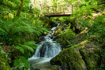 Long exposure of a waterfall flowing under a bridge at Canonteign Falls in Dartmoor