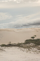 sand dunes on the beach
