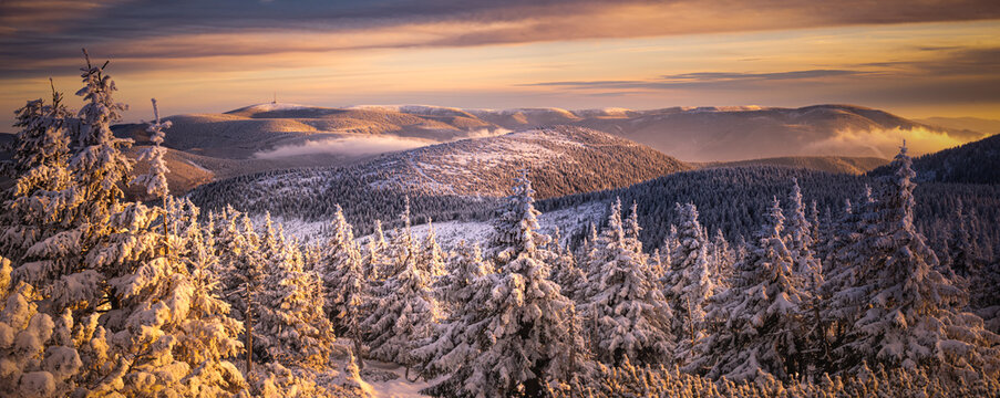 Snow, rime and spruce trees on a mountain range of Jesenniky mountains . Scenic view, scenic landscape. .