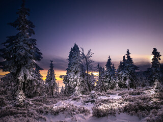 Snowy landscape on a mounatin range with spruce trees covered with snow and rime shortly before...