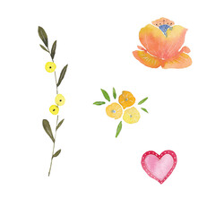 Fototapeta na wymiar Paint set of watercolor flowers on background. Paint watercolor texture. Botanical art. Use for design invitations, birthdays, weddings