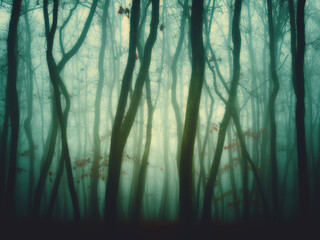 Mysterious foggy forest, oak trees, foliage, leafs,fog,tree trunks, gloomy landscape. Eastern...