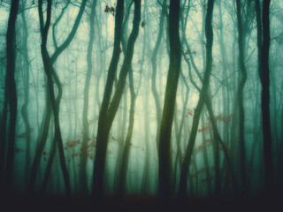 Obraz premium Mysterious foggy forest, oak trees, foliage, leafs,fog,tree trunks, gloomy landscape. Eastern Europe. .