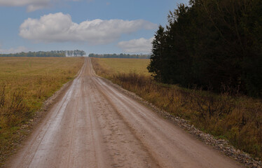 Fototapeta premium a long straight road disappearing in to the distance between golden autumn meadows up to the hill top with a blue sky and white cloud