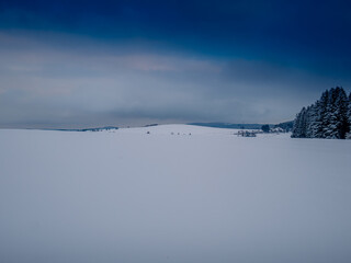 Winter scenic snowy cloudy landscape, forest, snow. Vysocina region,Czech Republic,Europe.  .