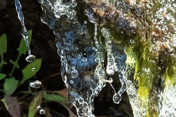 Nature Abstract: Splashing Water Streaming Down and Enveloping Fresh Green Vegetation