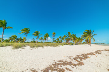 Blue sky over Smathers Beach in Key West
