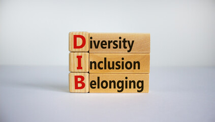 DIB, Diversity, inclusion and belonging symbol. Wooden blocks with words 'DIB, diversity, inclusion and belonging' on beautiful white background. Business, diversity, inclusion and belonging concept.