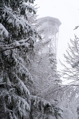 A lonely observation tower on the top of the mountain "Kłodzka Góra" hidden in an icy snow-covered forest behind the fog during a frosty January day in Poland