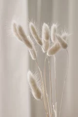 Nahaufnahme des schönen sahnigen trockenen Grasblumenstraußes. Häschenschwanz, Lagurus ovatus-Pflanze vor weichem, verschwommenem beigen Vorhanghintergrund. Selektiver Fokus. Blumendekoration für zu Hause. Vertikal. © tabitazn