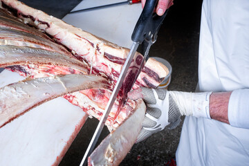 Roher dry aged Wagyu Tomahawk Steak Block manuell geschnitten als close-up mit Säge in einer...
