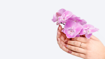 Beautiful female hands with fresh pink beige manicure holding orchid flower on light background with copy space