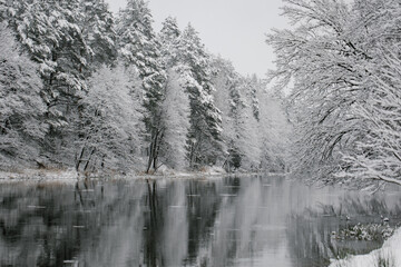 Winter landscape of trees on the edge of the river.