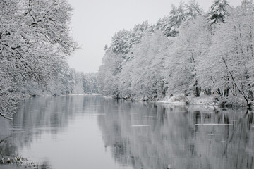 Winter landscape of trees on the edge of the river.