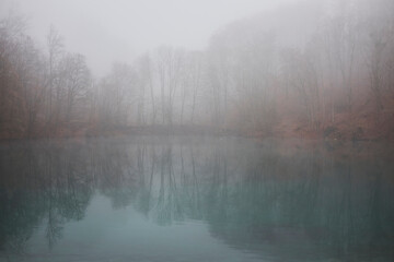 Foggy forest and reflection on water