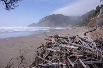 Fototapeta na wymiar Indian point coast in Oregon state