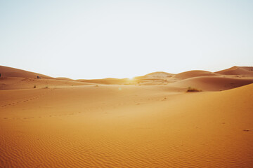 Fototapeta na wymiar Sunset in the Sahara desert with some dunes with the sun 