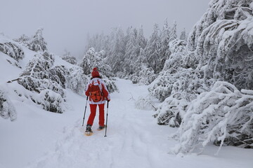 rando raquettes en Auvergne