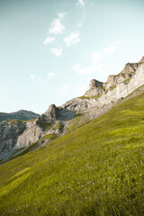 Mountain view alps meadow