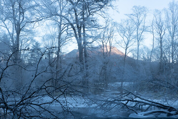 北海道冬の風景　阿寒郡阿寒町の樹氷と気嵐