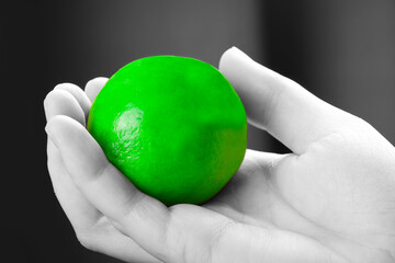 Lime held in the hand