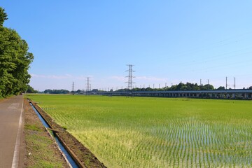 田舎　田植えの頃　風景　春