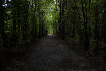 Light Shining Through the Darkness