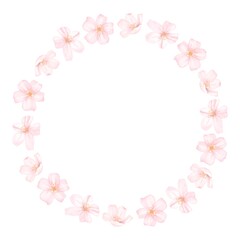 Fototapeta na wymiar 桜の花のフレーム　水彩風イラスト