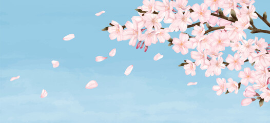 花びらが散る満開の桜　青空　水彩風イラスト

