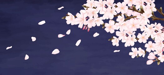 花びらが散る夜桜　横長　風景　水彩風イラスト