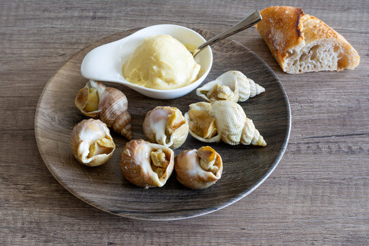 Assiette de bulots, avec mayonnaise et morceau de pain