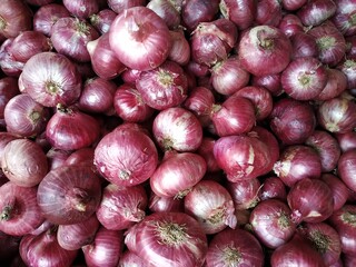 Close up of Indian Onion selective focused