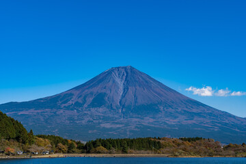 Fototapeta premium 富士山 田貫湖 湖畔