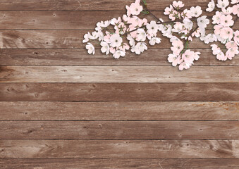 Naklejka na ściany i meble 満開の桜の花　春　3DCG