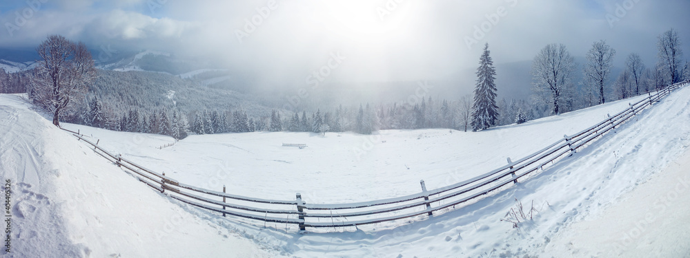 Wall mural Beautiful winter landscape with snow covered trees