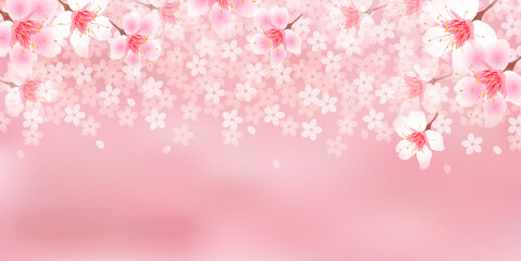 桜　風景　春　背景