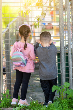 Children near the gate of closed preschool. Little kids outside school grounds. Kindergarten closed during the coronavirus pandemic.
