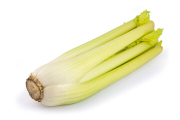 Celery isolated on a white background.