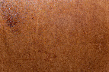 leather grunge background: an old piece of tough camel skin, with scuffs, spots, scars