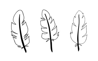 set of ink bird feathers in doodle style. hand-drawn illustration, black outline