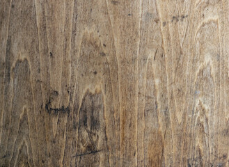 texture of old wood. no seams, homogeneous light brown color. close-up
