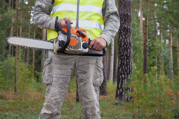 Woodworker holds a chainsaw in his hands. Close-up photo. Chainsaw in the hands of a lumberjack. a pine forest grows in the background. Deforestation concept.